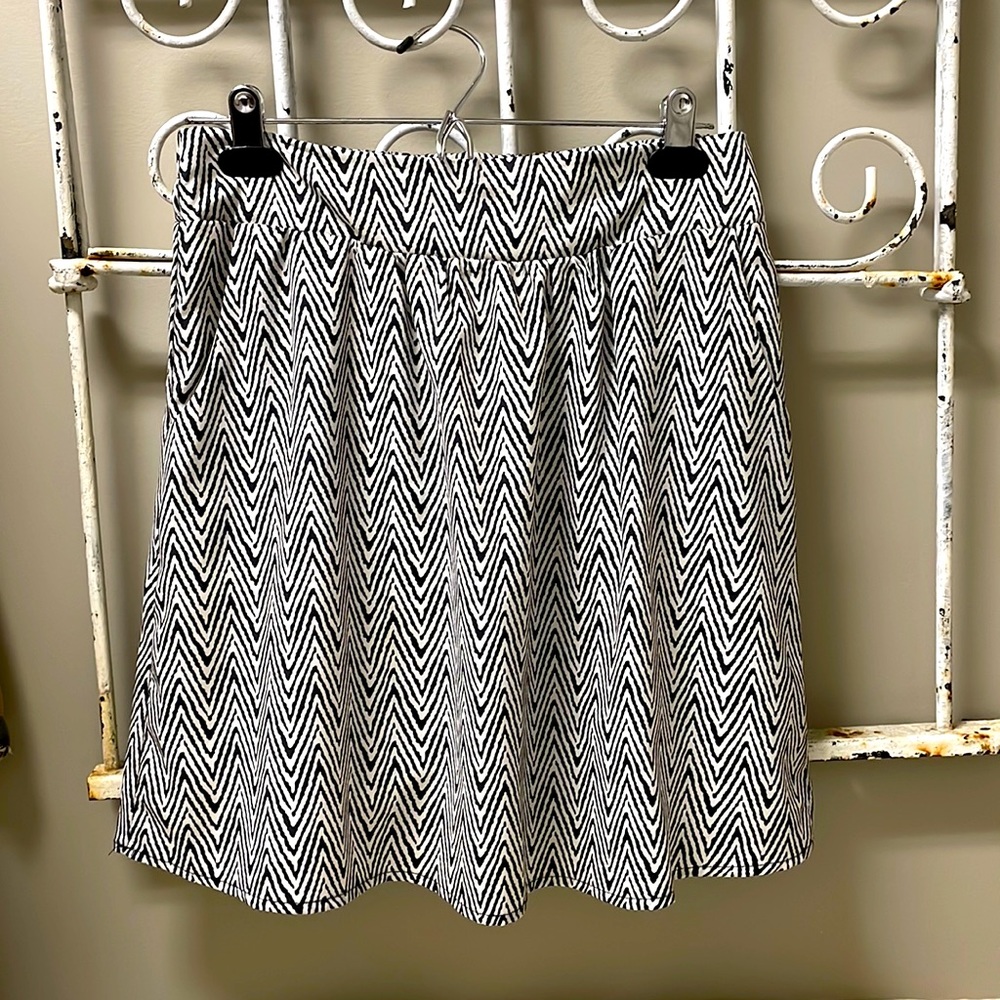 Francesca’s Skirt